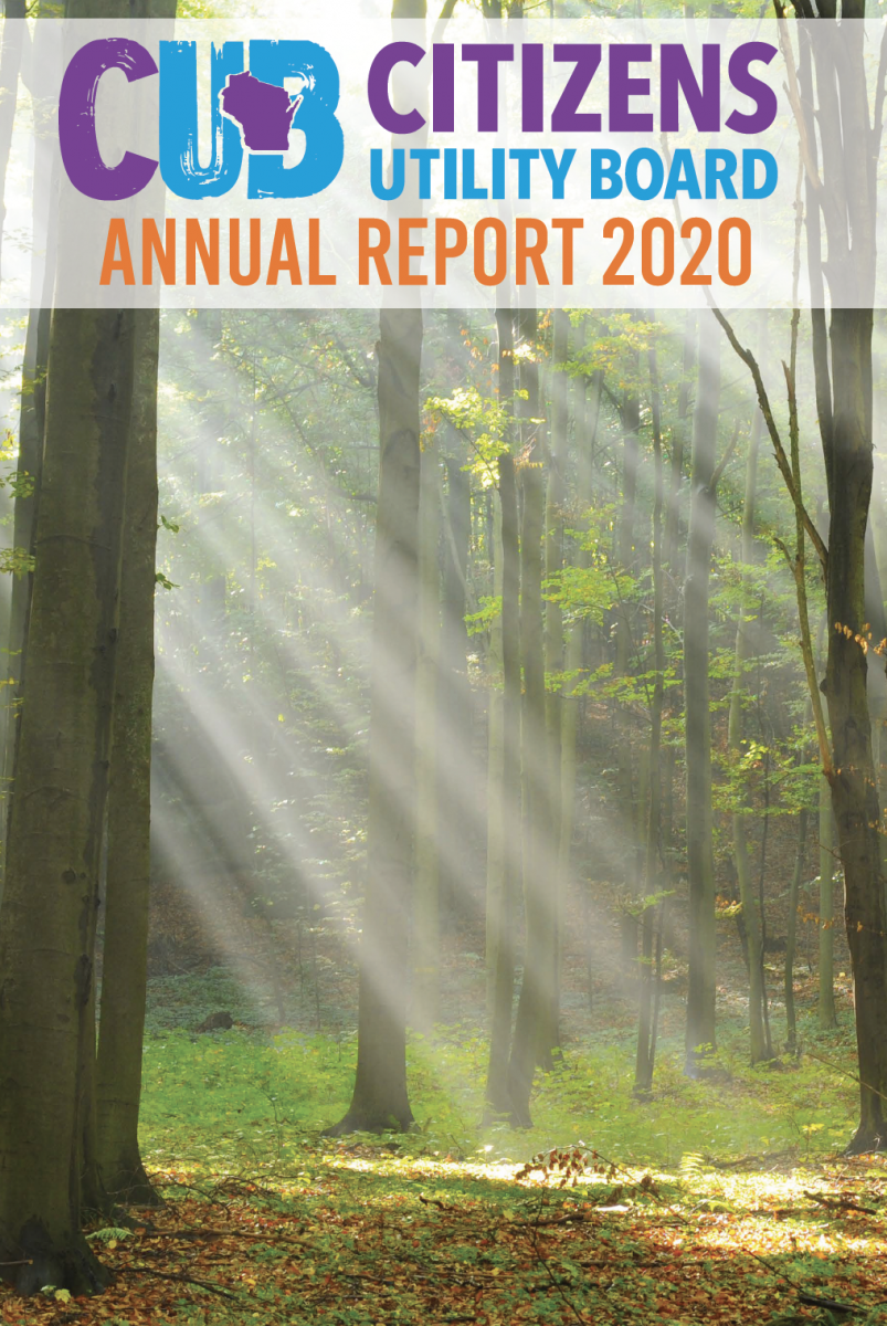 CUB Annual Report 2020